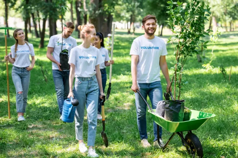 Tree Plantation Drive