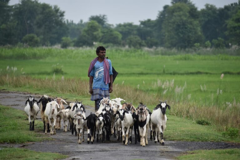 darshan-kedar-Noh7YrcLeTg-unsplash